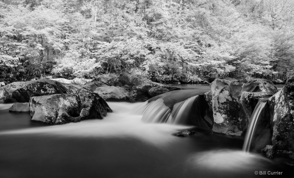 Little Pigeon River Rapids