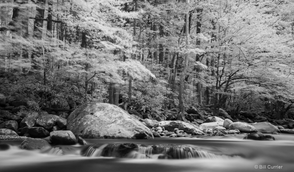 Little Pigeon River Rapids and Trees