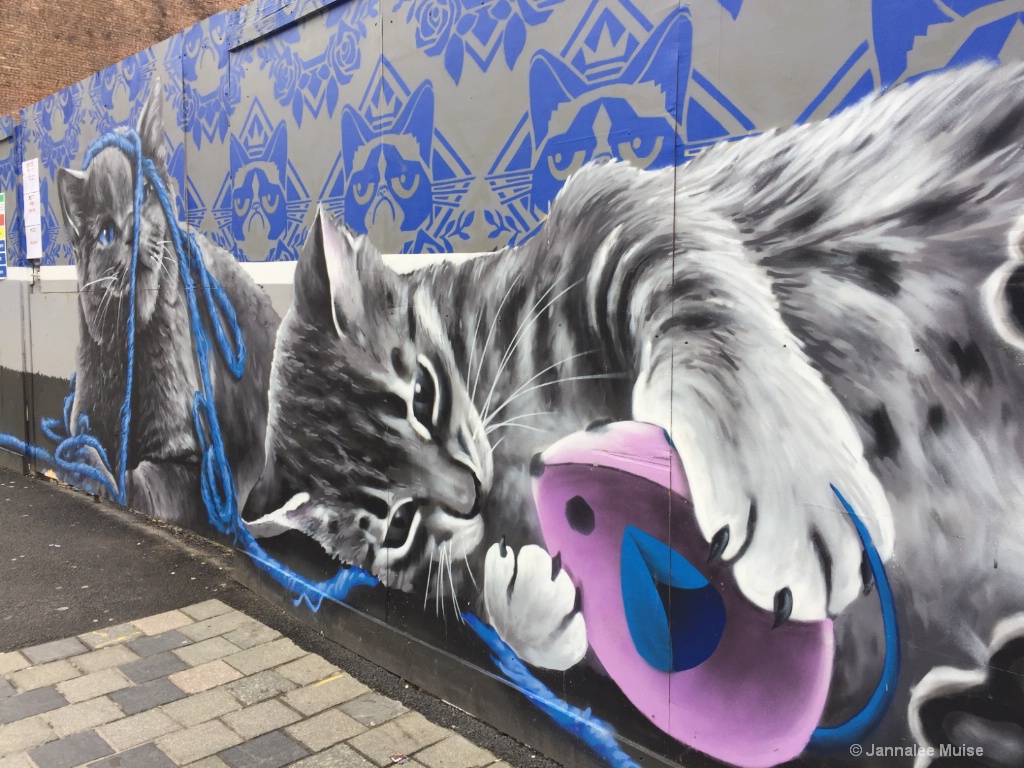 Glasgow Kitties