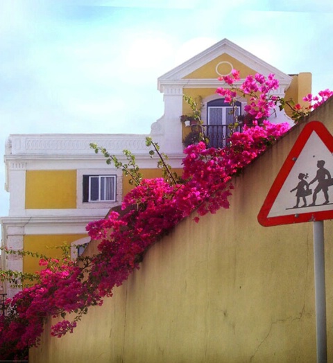 Pedestrian Flowers?