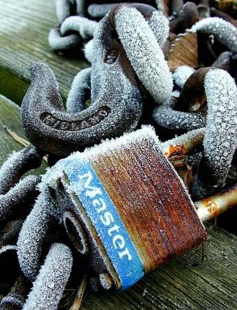Frost on Rust