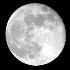 2Full Moon - ID: 24682 © Rhonda Maurer