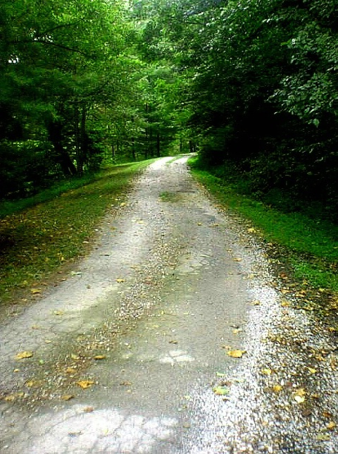 The Road To Nature