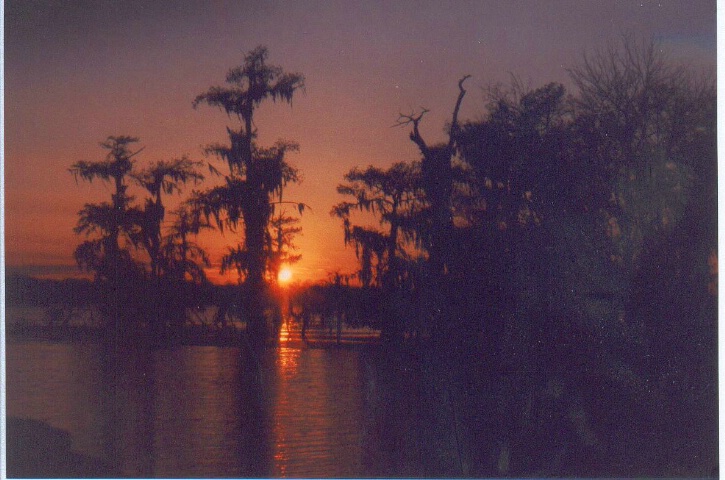 Sunset in the swamp