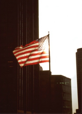 "Flag Among Buildings"
