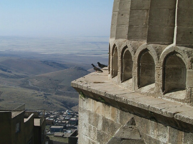 View from the roof of the mosque...