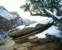 Nature/Landscapes