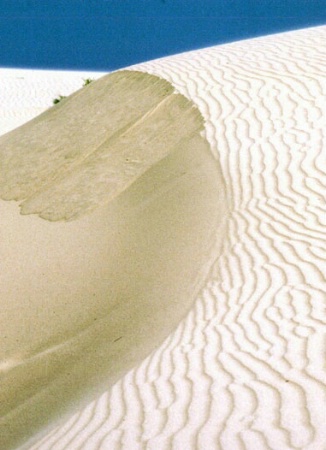 Sand Dunes 2
