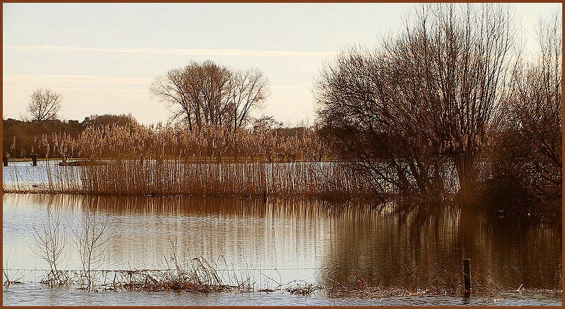 Flooded Land