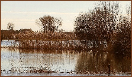 Flooded Land