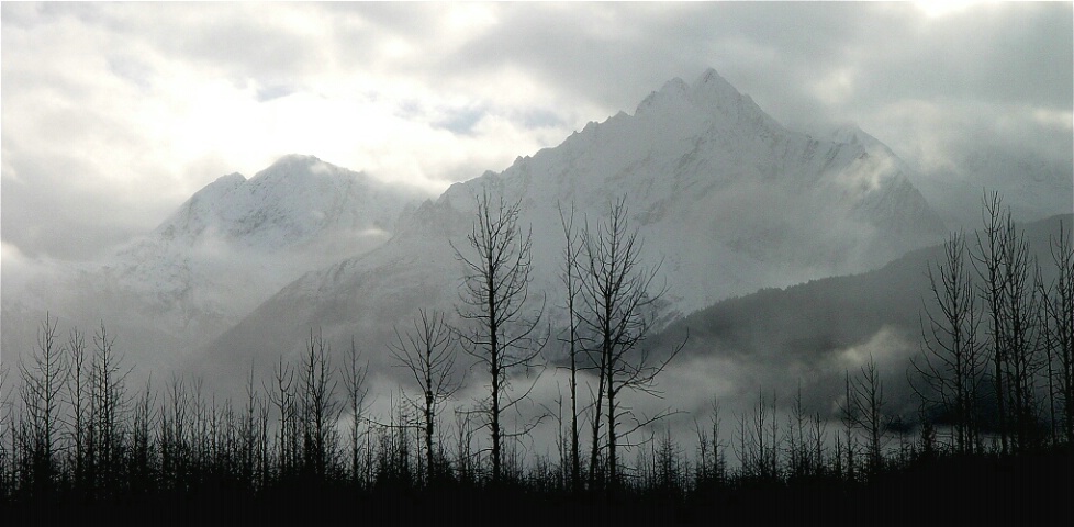 Mist & Mountains