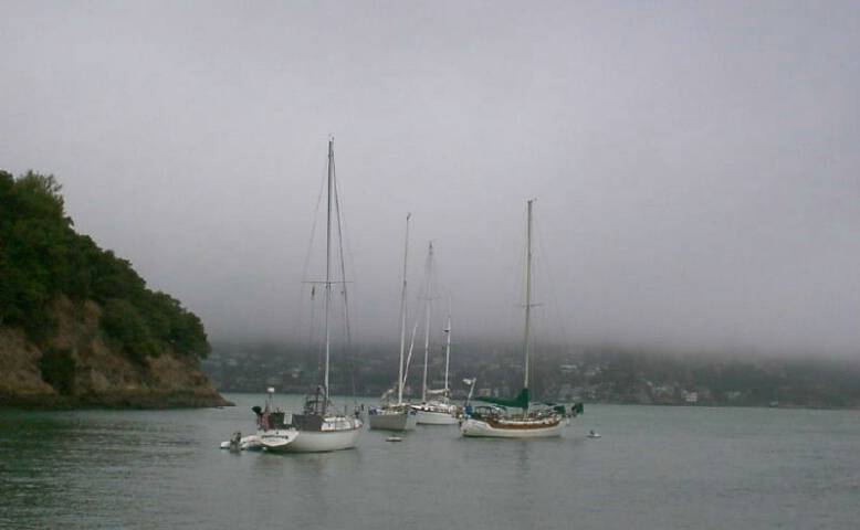 Fog and Boats