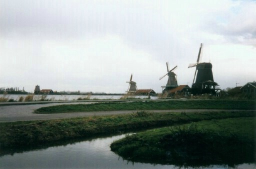 In the windmills of my mind