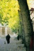 Autumn's Stro...