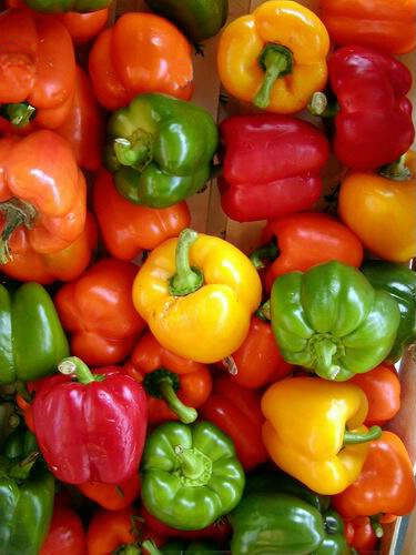 Colorful Bell Peppers, Street Market, Paris