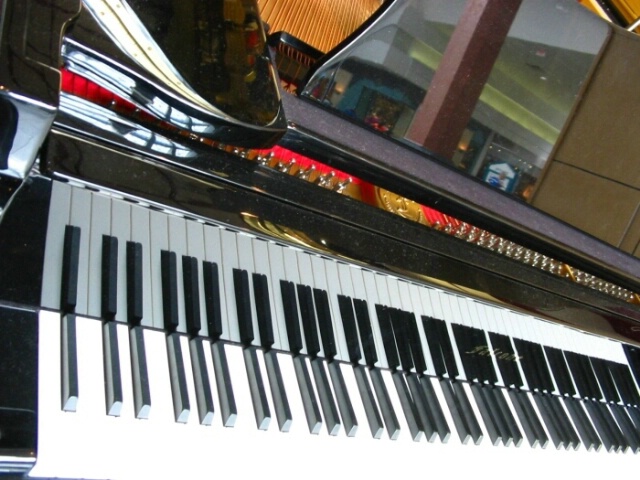 Tickling the Ivories in a Mall Music Store