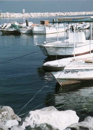 Dubai Fishing Harbour