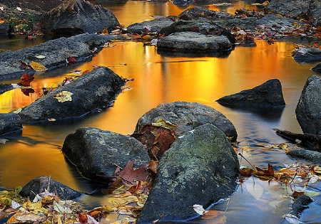 Stream of Gold