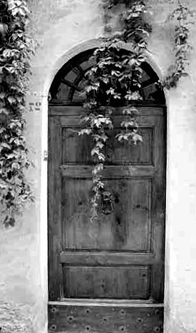 Ivy Door