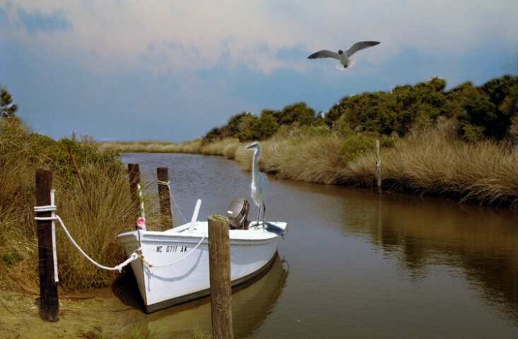 boat in the marsh with new sky and birds 
