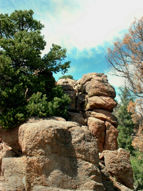 Sandstone Outcropping