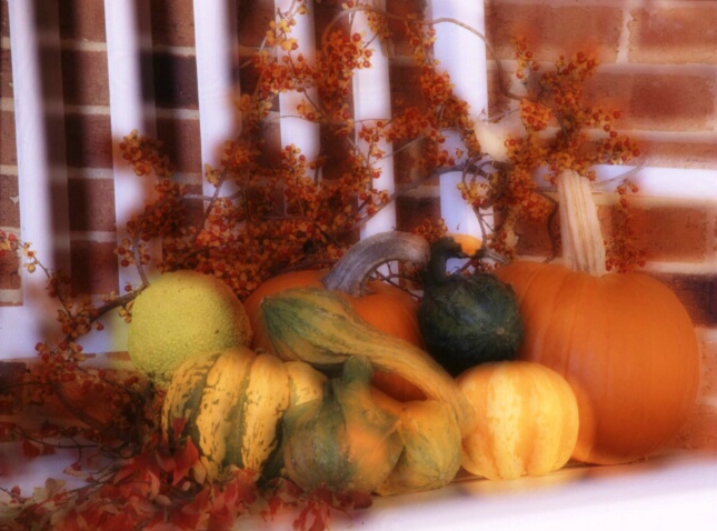 Ghosts of Autumn - ID: 60041 © Sharon E. Lowe