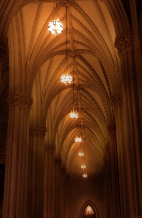 St. Patricks Cathedral's Arches
