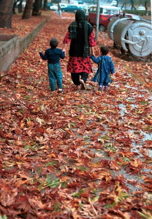 Autumn in Islamabad