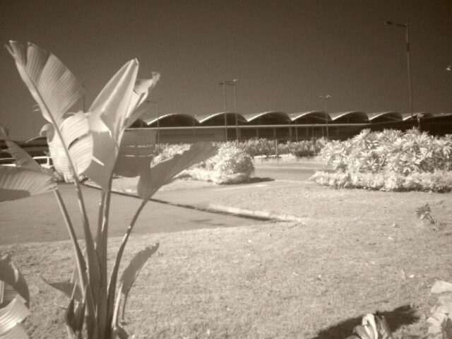 Landscape IR