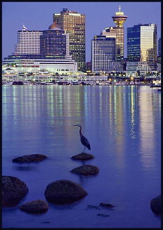 Metropolitan Heron