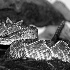 2Chaco Rattlesnake (crotalus d. terrificus) - ID: 64968 © Rhonda Maurer