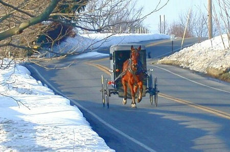 The Amish Way Of Life