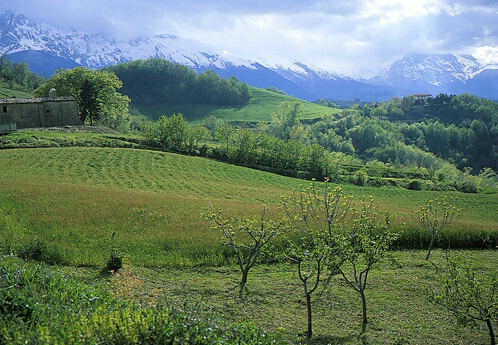 Green Valley and white mountain Abruzzo,Italy