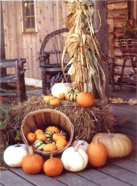 Herb Farm autumn colors