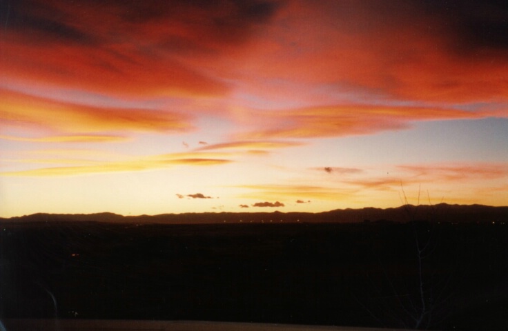 Magenta Sunset