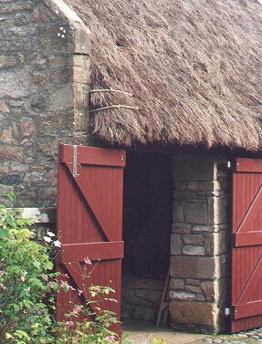 Thatched stable