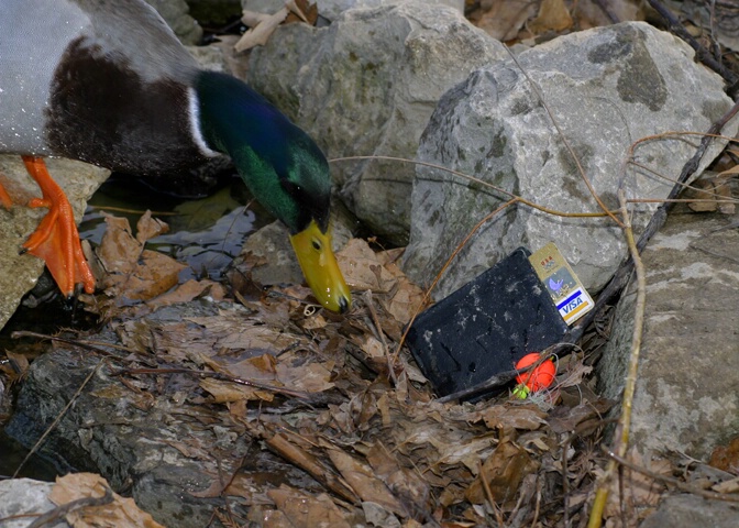 Not A Good Day For That Fisherman - ID: 72864 © Rhonda Maurer