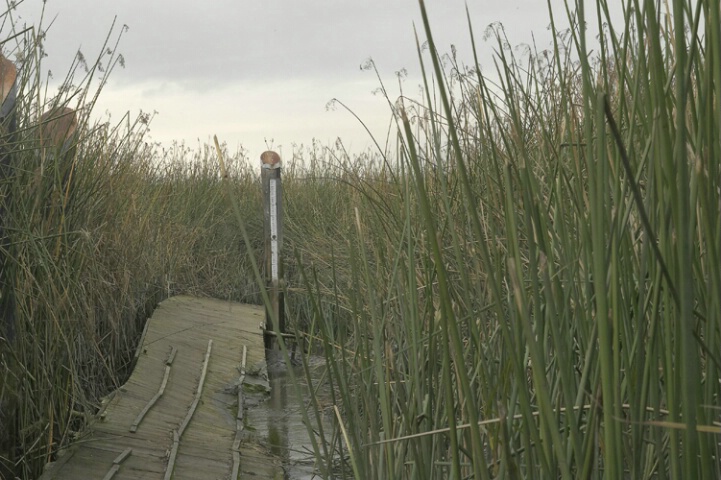 Quay to nowhere