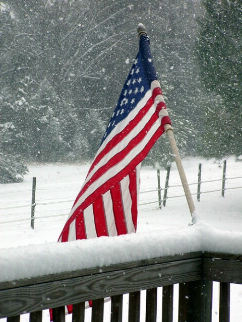 Flag in The Snow