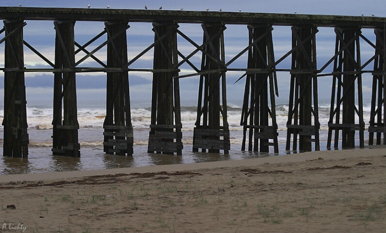 Trestle and Surf