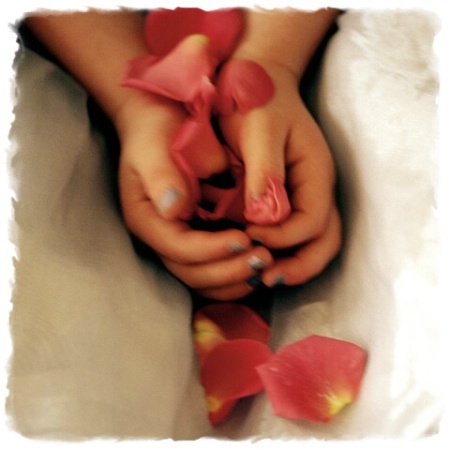 Hands and Rose Petals