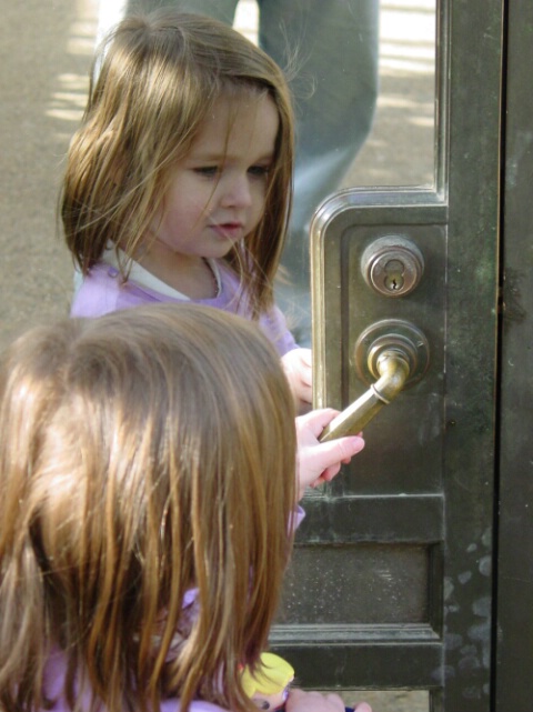 Through the Mirrored Door