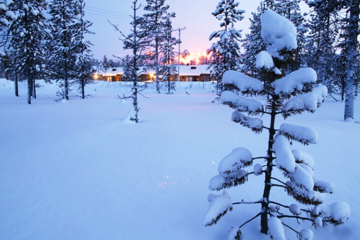 Lapland Winter Exposure