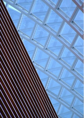 Atrium Roof and Wall 2