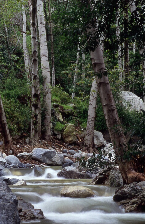 Rushing Water