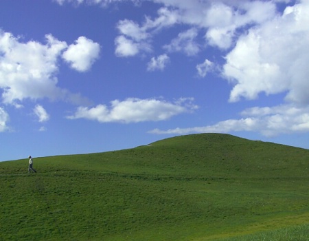 Windows XP   