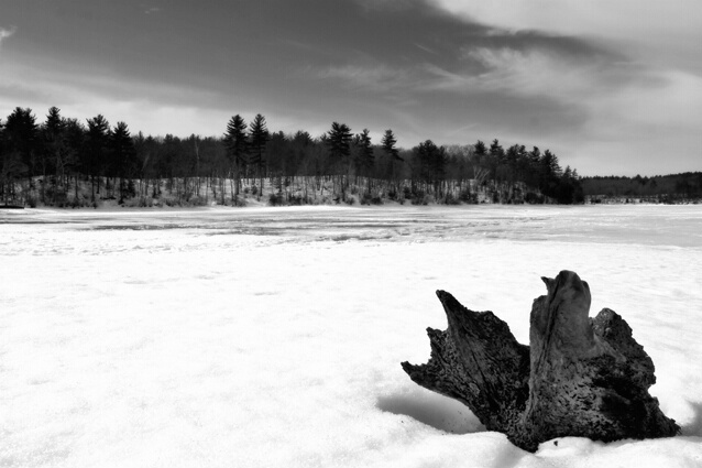 Winter on Walden Pond - ID: 84412 © Sharon E. Lowe