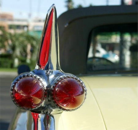 Caddy Tail