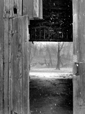 Stable view of snow storm