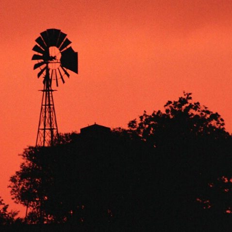 Sunset Sillouette 1 - ID: 88142 © Greg Harp